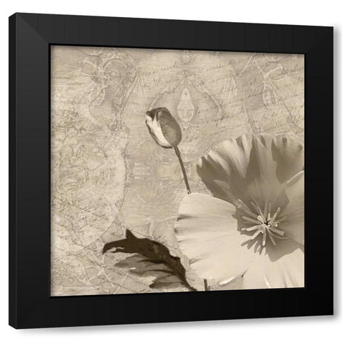 Vintage Rose I Black Modern Wood Framed Art Print with Double Matting by Wolk, Lisa