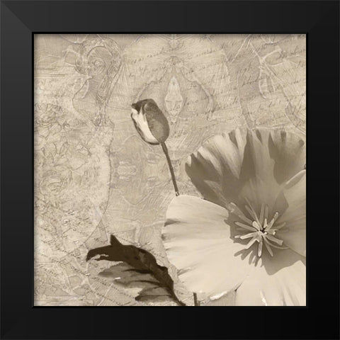 Vintage Rose I Black Modern Wood Framed Art Print by Wolk, Lisa