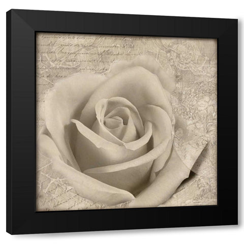 Vintage Rose II Black Modern Wood Framed Art Print by Wolk, Lisa