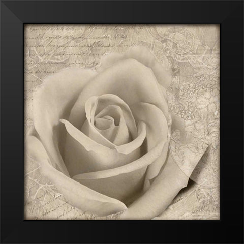 Vintage Rose II Black Modern Wood Framed Art Print by Wolk, Lisa