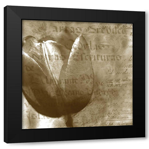 Tulip Black Modern Wood Framed Art Print by Wolk, Lisa