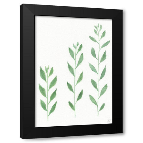 Three Wild Stems Black Modern Wood Framed Art Print with Double Matting by Lee, Judson