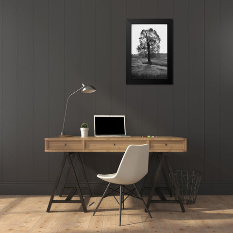 Giant Tree Black Modern Wood Framed Art Print by Lee, Judson
