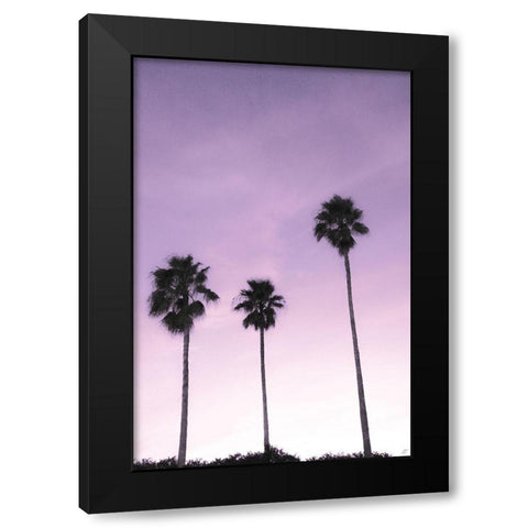 Palms Black Modern Wood Framed Art Print with Double Matting by Lee, Judson