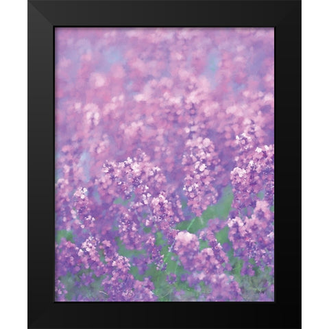 Purple I Black Modern Wood Framed Art Print by Fay, Mela
