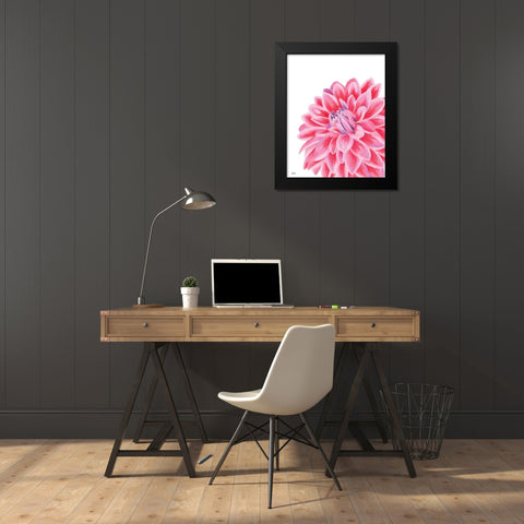 Chrysanthemum Black Modern Wood Framed Art Print by Fay, Mela