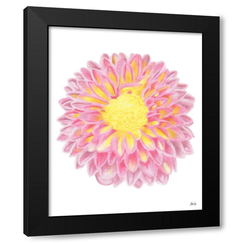 Pink Chrysanthemum Black Modern Wood Framed Art Print by Fay, Mela