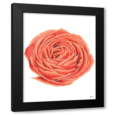 Orange Rose Black Modern Wood Framed Art Print by Fay, Mela