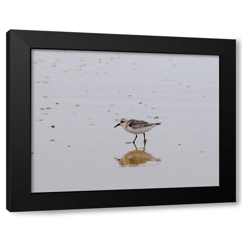 Little Guy Black Modern Wood Framed Art Print by Singleton, Ashley