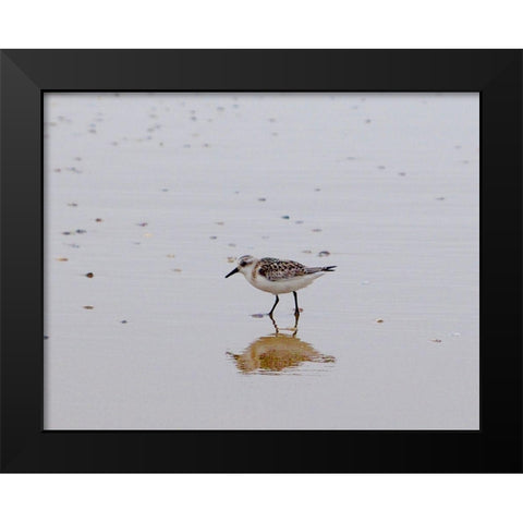 Little Guy Black Modern Wood Framed Art Print by Singleton, Ashley