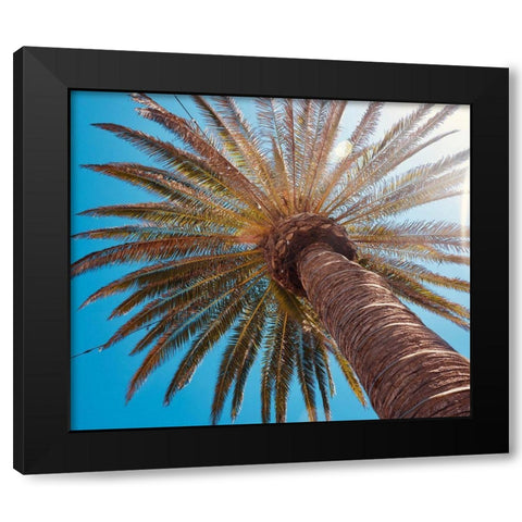 Sunny Palms Black Modern Wood Framed Art Print with Double Matting by Singleton, Ashley