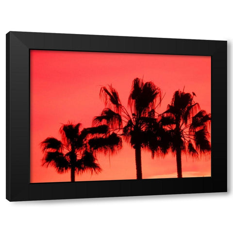 Neon Palm Trees I Black Modern Wood Framed Art Print by Singleton, Ashley