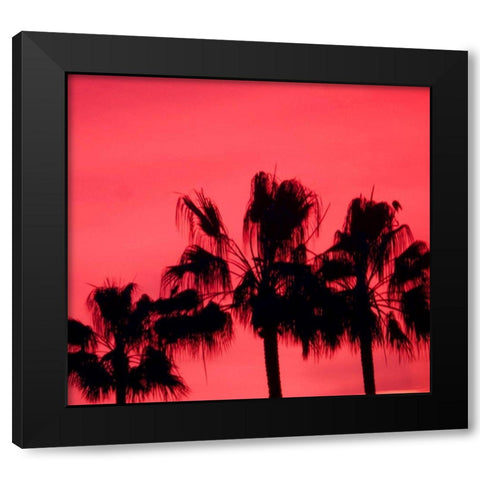 Neon Palm Trees III Black Modern Wood Framed Art Print by Singleton, Ashley