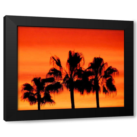 Neon Palm Trees IV Black Modern Wood Framed Art Print with Double Matting by Singleton, Ashley