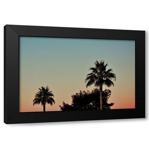 Palm Tree Sunset Black Modern Wood Framed Art Print by Singleton, Ashley