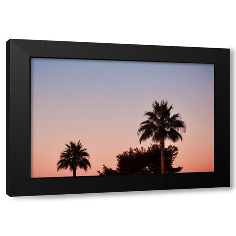 Palm Tree Sunset II Black Modern Wood Framed Art Print by Singleton, Ashley