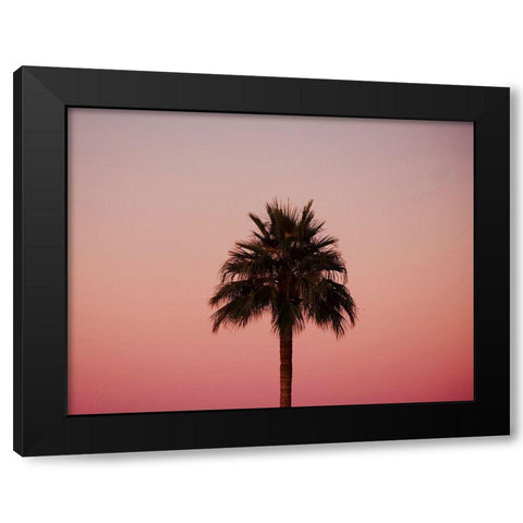 Palm Tree Sunset III Black Modern Wood Framed Art Print by Singleton, Ashley