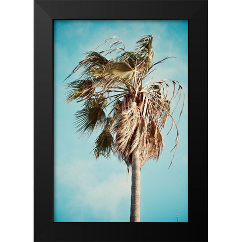 Palm Tree Black Modern Wood Framed Art Print by Singleton, Ashley