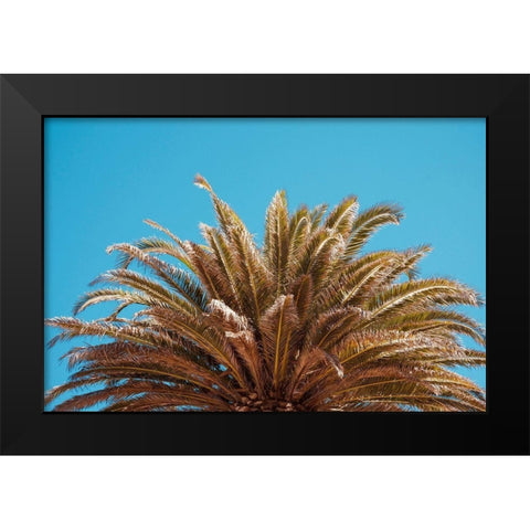 Palm Tree Black Modern Wood Framed Art Print by Singleton, Ashley