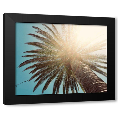 Palm Tree II Black Modern Wood Framed Art Print with Double Matting by Singleton, Ashley