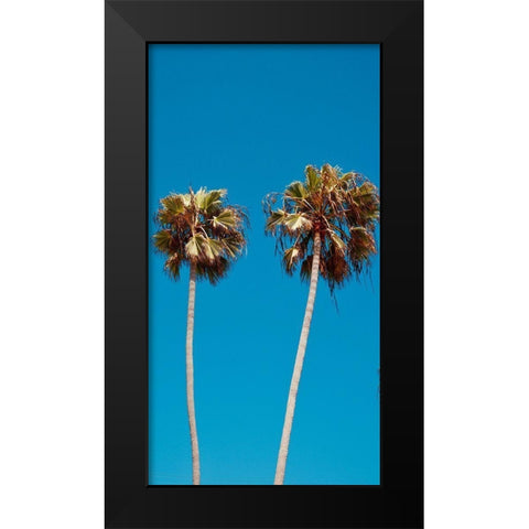 Palm Trees III Black Modern Wood Framed Art Print by Singleton, Ashley