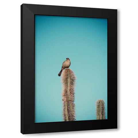 Cactus Bird Black Modern Wood Framed Art Print with Double Matting by Singleton, Ashley