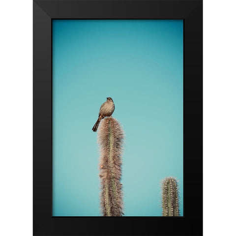 Cactus Bird Black Modern Wood Framed Art Print by Singleton, Ashley