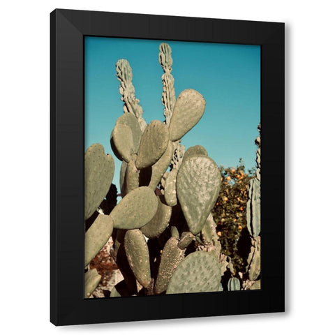 Cactus IV Black Modern Wood Framed Art Print by Singleton, Ashley