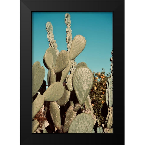Cactus IV Black Modern Wood Framed Art Print by Singleton, Ashley