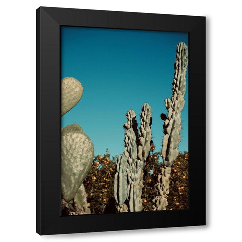 Cactus V Black Modern Wood Framed Art Print by Singleton, Ashley