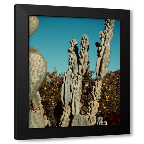 Cactus VI Black Modern Wood Framed Art Print by Singleton, Ashley