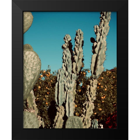 Cactus VI Black Modern Wood Framed Art Print by Singleton, Ashley