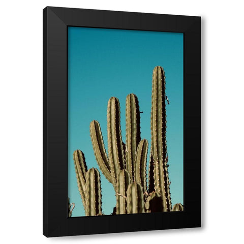 Cactus VII Black Modern Wood Framed Art Print by Singleton, Ashley