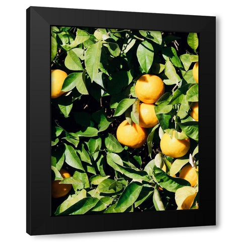 Orange Black Modern Wood Framed Art Print with Double Matting by Singleton, Ashley