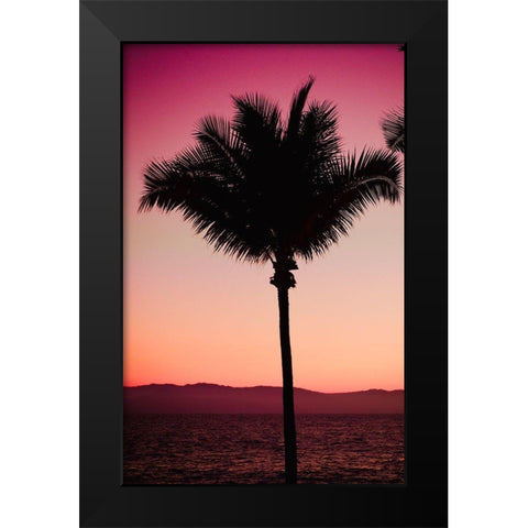 Pink Palm Black Modern Wood Framed Art Print by Singleton, Ashley