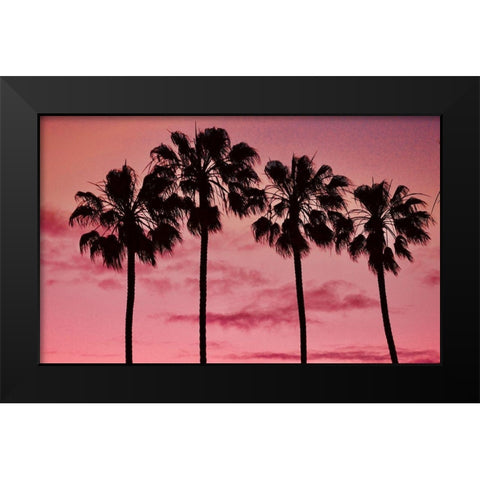 Pink Palms Black Modern Wood Framed Art Print by Singleton, Ashley