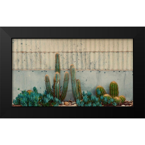 Cactus Garden Black Modern Wood Framed Art Print by Singleton, Ashley