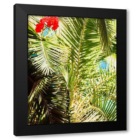 Tropics Black Modern Wood Framed Art Print with Double Matting by Singleton, Ashley