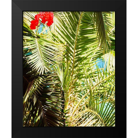 Tropics Black Modern Wood Framed Art Print by Singleton, Ashley