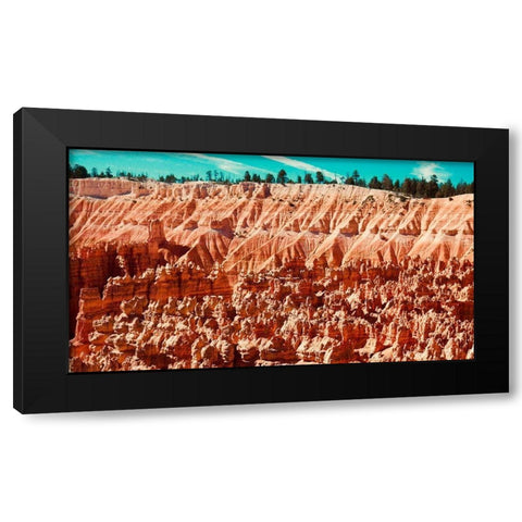 Natures Wonders Black Modern Wood Framed Art Print by Singleton, Ashley