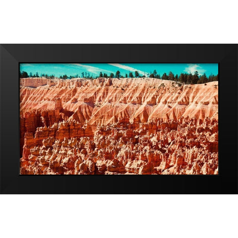 Natures Wonders Black Modern Wood Framed Art Print by Singleton, Ashley