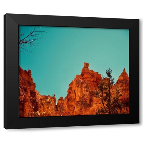 Natures Beauty Black Modern Wood Framed Art Print by Singleton, Ashley