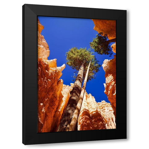Standing Tall Black Modern Wood Framed Art Print with Double Matting by Singleton, Ashley