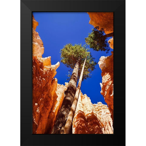 Standing Tall Black Modern Wood Framed Art Print by Singleton, Ashley