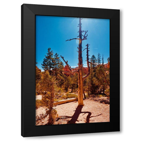 Timeless Treasures Black Modern Wood Framed Art Print with Double Matting by Singleton, Ashley