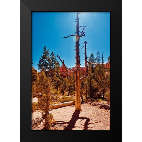 Timeless Treasures Black Modern Wood Framed Art Print by Singleton, Ashley