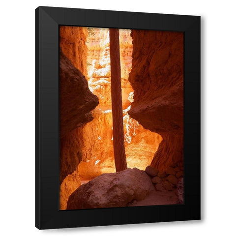 Determined Black Modern Wood Framed Art Print by Singleton, Ashley