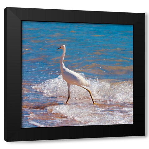 Toe Dipper Black Modern Wood Framed Art Print by Singleton, Ashley