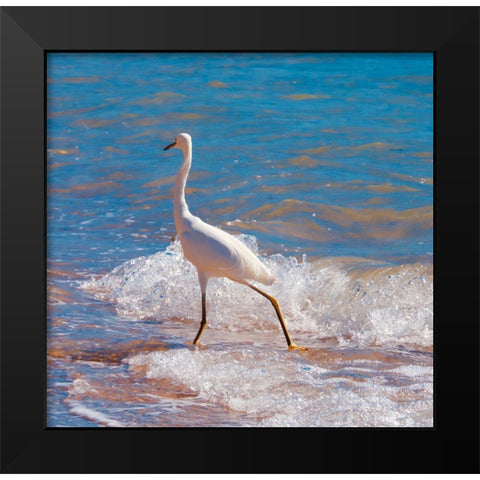 Toe Dipper Black Modern Wood Framed Art Print by Singleton, Ashley