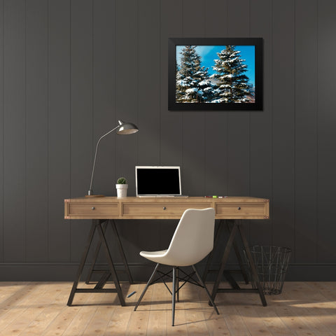 Evergreens Black Modern Wood Framed Art Print by Singleton, Ashley